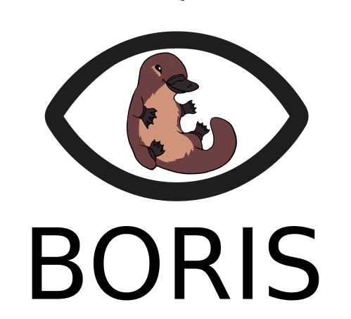 _images/logo_boris_500px.png